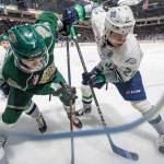 The Thunderbirds Matthew Wedman, here working for the puck against Everett during WHL play last season, was chosen by the Florida Panthers in the seventh round of the NHL Draft. Wedman led the T-Birds in scoring last season with 40 goals and 37 assists. COURTESY PHOTO, Brian Liesse, T-Birds