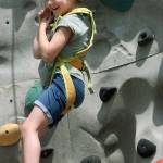 MARK KLAAS, Auburn Reporter