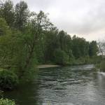Auburn’s new park along the river