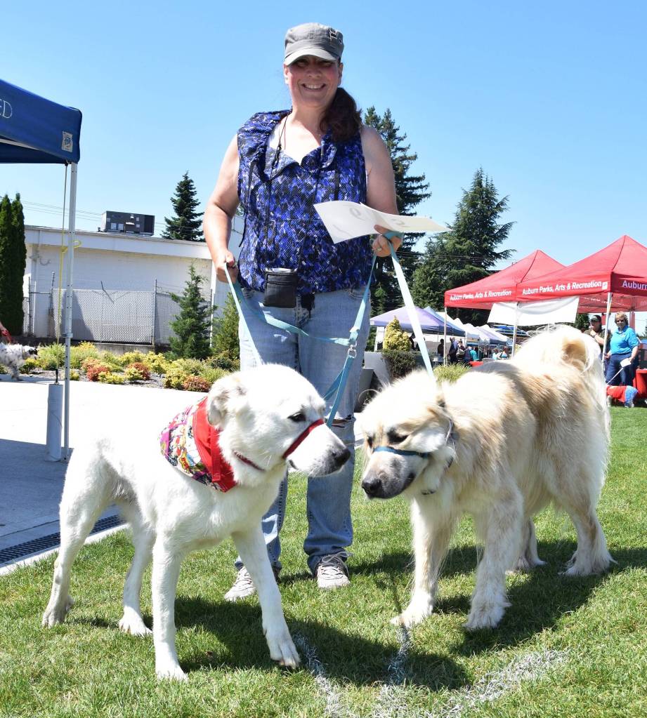 Victoria Briscoe-Kack walks her dogs, Breve and Latte, in the dog show. RACHEL CIAMPI, Auburn Reporter