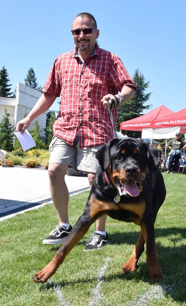 James Nesler walks his dog, Odin, in the dog show. Odin won Best Disobedient. RACHEL CIAMPI, Auburn Reporter