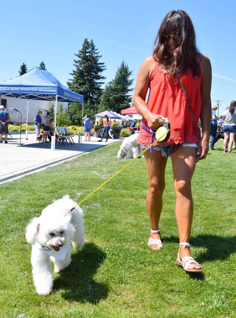 Chris Alexander walks her dog, Eddie, in the dog show. Eddie won Best In Show. RACHEL CIAMPI, Auburn Reporter
