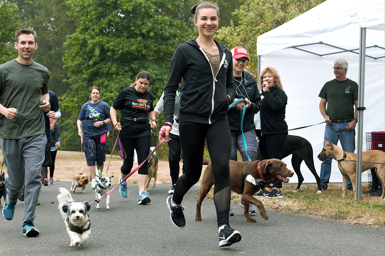The Barkfest & Rover Romp 2018 raised more than $27,000 from donations, vendors, sponsors, registrations, and in-kind donations. COURTESY PHOTO