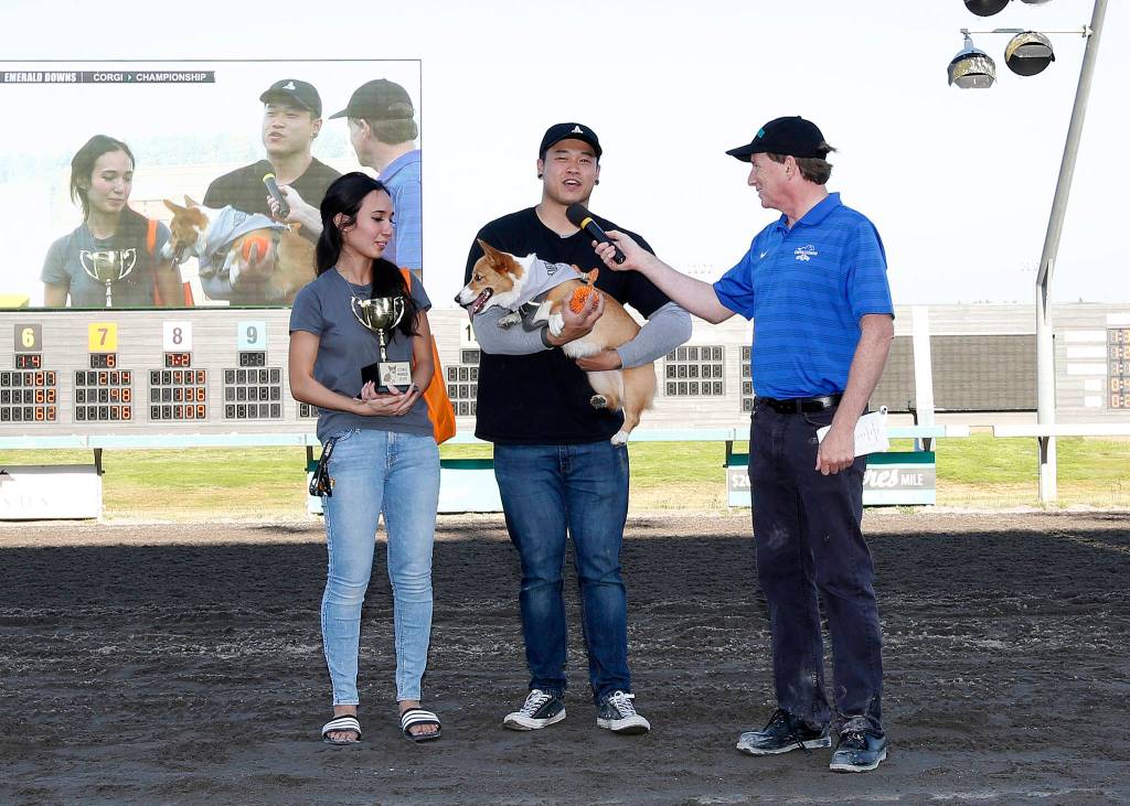 Davis Phan thanked the crowd after the victory, expressing how much he and his wife, Marian Armas, cherish their Corgi. COURTSEY TRACK PHOTO