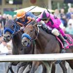 Law Abidin Citizen, left, and Anyportinastorm race head-and-head to the wire in Sundays Longacres Mile at Emerald Downs. COURTESY TRACK PHOTO