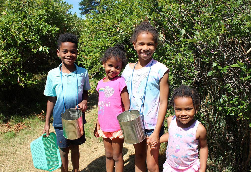From left: Guerrier siblings August, Nora, Ava and Mona explore the Higher Taste Blueberry Farm on a sunny August afternoon. OLIVIA SULLIVAN, Federal Way Mirror