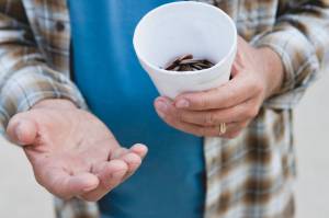 ‘All-hands-on-deck effort’