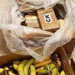$1M worth of cocaine found in banana boxes shipped from Auburn warehouse