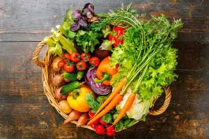 Zucchini anyone? Plan now to turn garden overflow into healthy, economical meals – and reduce waste