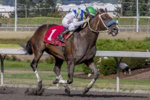 Mike Mans Gold scores his record 22nd victory, with Gary Wales riding. COURTESY TRACK PHOTO