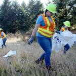 Madelyn Drangstviet, 14, searches for litter along State Route 18 during a work day with the Ecology Youth Corps program on Aug. 20. OLIVIA SULLLIVAN, Federal Way Mirror