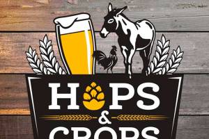 10th annual Hops & Crops Music and Beer Festival to come alive at Mary Olson Farm