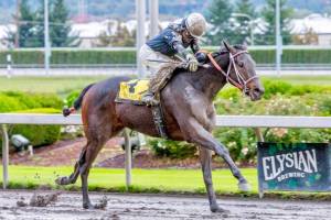 Kevin Krigger drives Race Home to victory in the meet-closing Gottstein Futurity on Sunday at Emerald Downs. COURTESY TRACK PHOTO