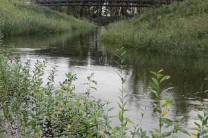 Much done, more to do on Green River levee projects