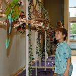 RACHEL CIAMPI, Auburn Reporter