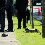 Evidence from the arrest is marked on the sidewalk along Southwest Campus Drive in Federal Way. OLIVIA SULLIVAN, Federal Way Mirror