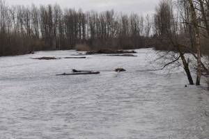 Help for Pacific, Algona: County directs $300,000 for Butte Avenue Flood Mitigation Project