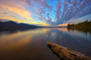 Cascade Water Alliance announces Ray Hoffman as new CEO