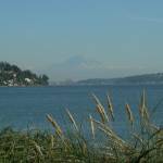 West Point Treatment Plant report due in January