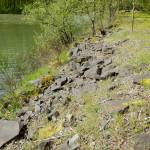 King County proposes to restore a dynamic mosaic of riverine and floodplain habitats along .3 mile of the Middle Green River off Green Valley Road about six miles east of the city of Auburn. COURTESY PHOTO, Washington State Recreation and Conservation Office