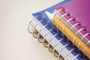 Auburn School Board recognizes outstanding staff member, student