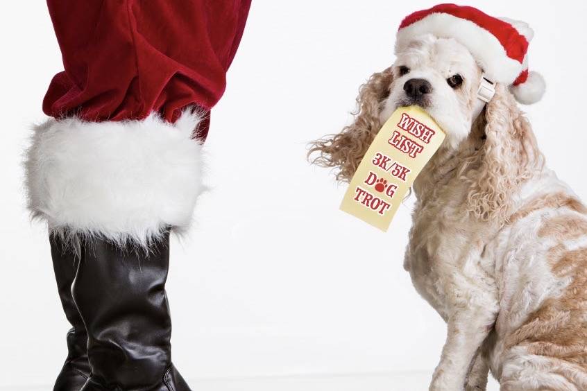 Race registration for Auburn’s Dog Trot 3K/5K Fun Run is $10 through Dec. 24