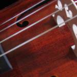 Auburn Symphony Orchestra presents Johannes Brahms and Clara Schuman, Jan. 24 and 26