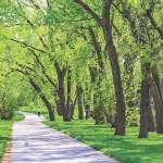 City closes playgrounds and other active recreation areas