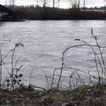 The White River in Auburn. FILE PHOTO, Auburn Reporter