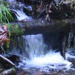 Flaming Geyser State Park: wide open spaces for the family, trails offer solitude