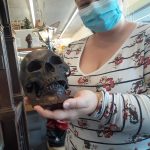 Robert Whale / Auburn Reporter
Carly Willis with one of the more fascinating denizens of her recently-opened store Antique Marketplace at the site the former Joannes Fabrics on Howard Road in south Auburn.