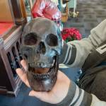This bronze skull is one of the fascinating items for sale at Antique Marketplace at the site of the former Joannes Fabrics on Howard Road. Robert Whale, Auburn Reporter