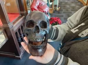 This bronze skull is one of the fascinating items for sale at Antique Marketplace at the site of the former Joannes Fabrics on Howard Road. Robert Whale, Auburn Reporter