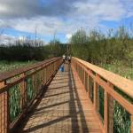 Auburn Environmental Park. Courtesy photo
