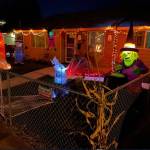 Halloween decorations on display on D Street. Photo courtesy of D Street Lights.