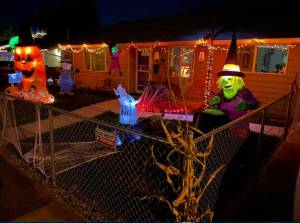 Halloween decorations on display on D Street. Photo courtesy of D Street Lights.
