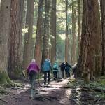 Recent Auburn senior center hiking group trip. Courtesy photo