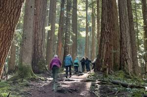 Recent Auburn senior center hiking group trip. Courtesy photo