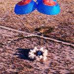 Blue Origins New Shepard capsule lands Dec. 11 in Texas after its flight into space with six crew members. COURTESY PHOTO, Blue Origin