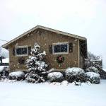 Photo submitted to Auburn Reporter by Sue Smith