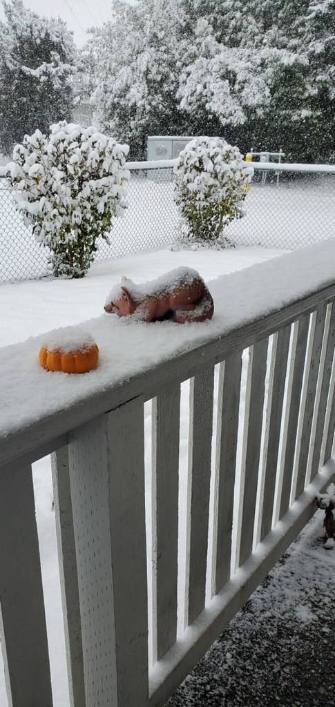 Snow on the porch rail and front yard on 6th Street SE. Photo submitted by Marilyn Newman