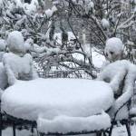 Photo submitted to Auburn Reporter by Michelle Varo