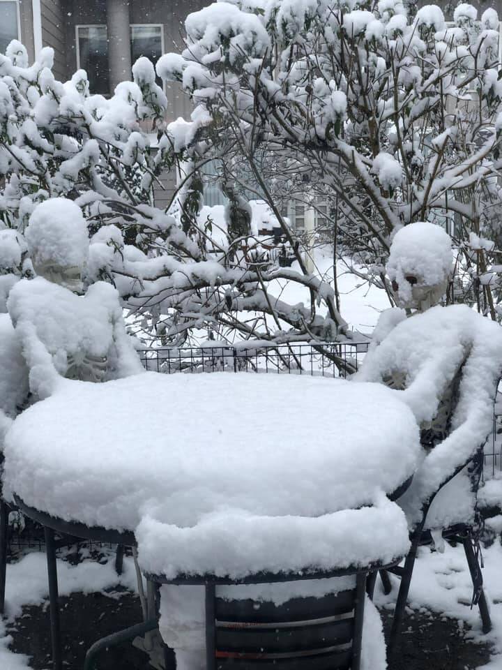 Photo submitted to Auburn Reporter by Michelle Varo