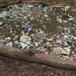 The Gnome Trail is located across from Rock Creek Elementary School, 25700 Maple Valley Black Diamond Rd SE, Maple Valley. Photos by Bailey Jo Josie/Sound Publishing