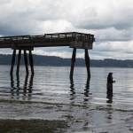 At Dash Point on June 16, 2022. Henry Stewart-Wood/Sound Publishing