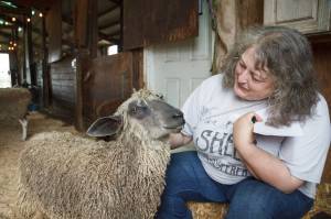 Photo by Henry Stewart-Wood / Sound Publishing
Carolynn Bernard, owner and operator of Bless Ewe Sheep Company, pets one of the sheep on her farm in Enumclaw on Aug. 17, 2021.