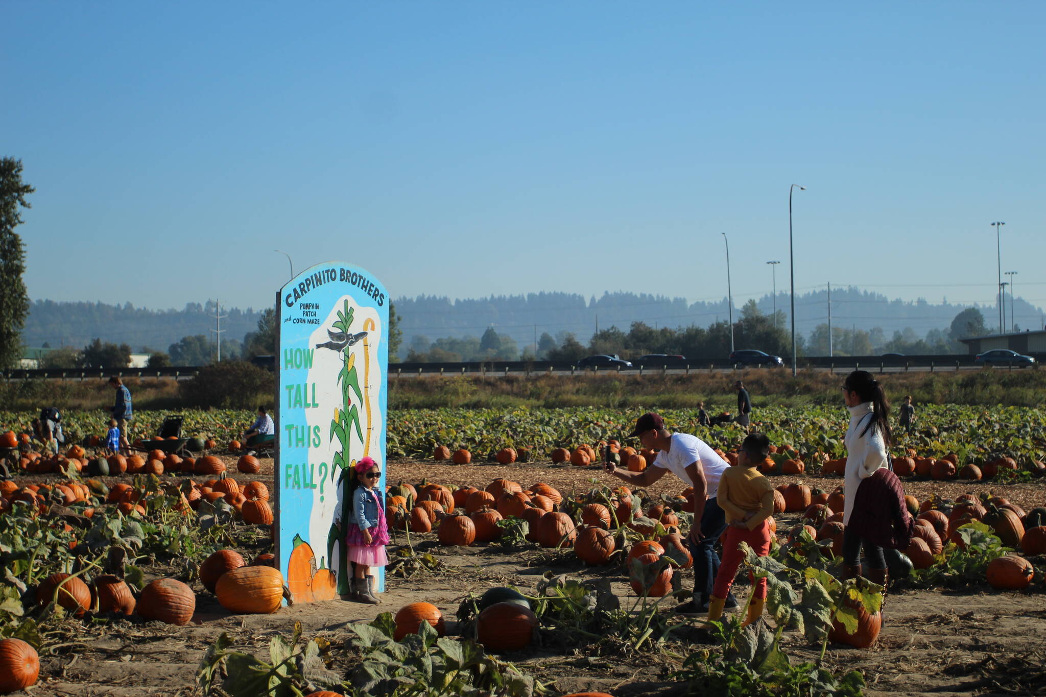 A family snaps a photo at the How tall this fall? measuring sign on Sunday, Oct. 16. Olivia Sullivan/Sound Publishing