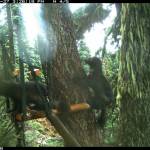 Courtesy Photos
Jonis family is caught on a trail cam in late October of this year.