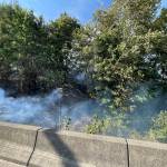 The fire resulted in no damages to homes nor injuries to firefighters. (Courtesy of the Renton Regional Fire Authority.)