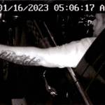 Courtesy of King County Superior Court documents
Surveillance footage of Matthew Darnells attempted kidnapping of a 31-year-old woman at a bikini barista stand in Auburn.